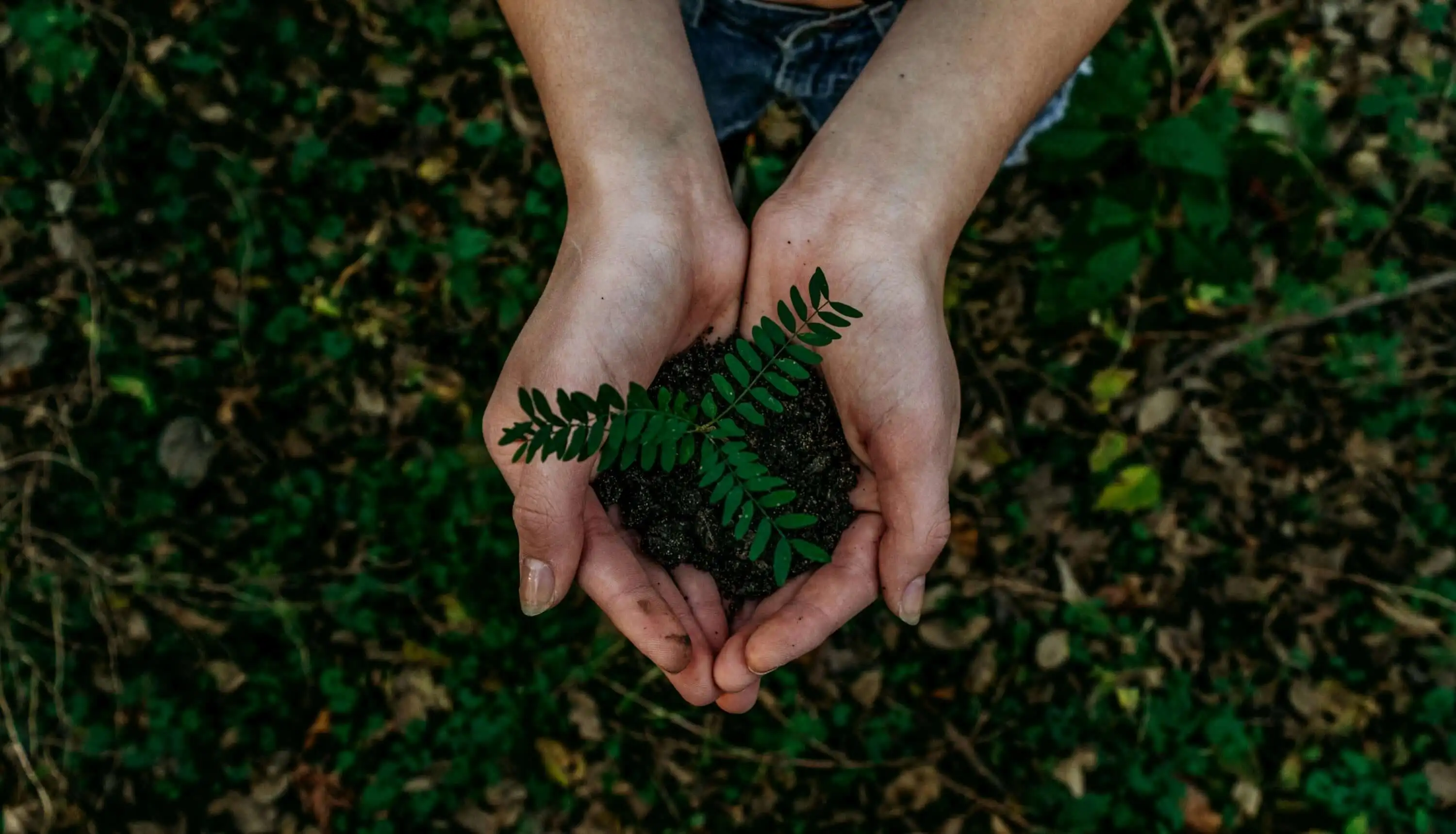 thriftedthreads-sustainability-plantinhands